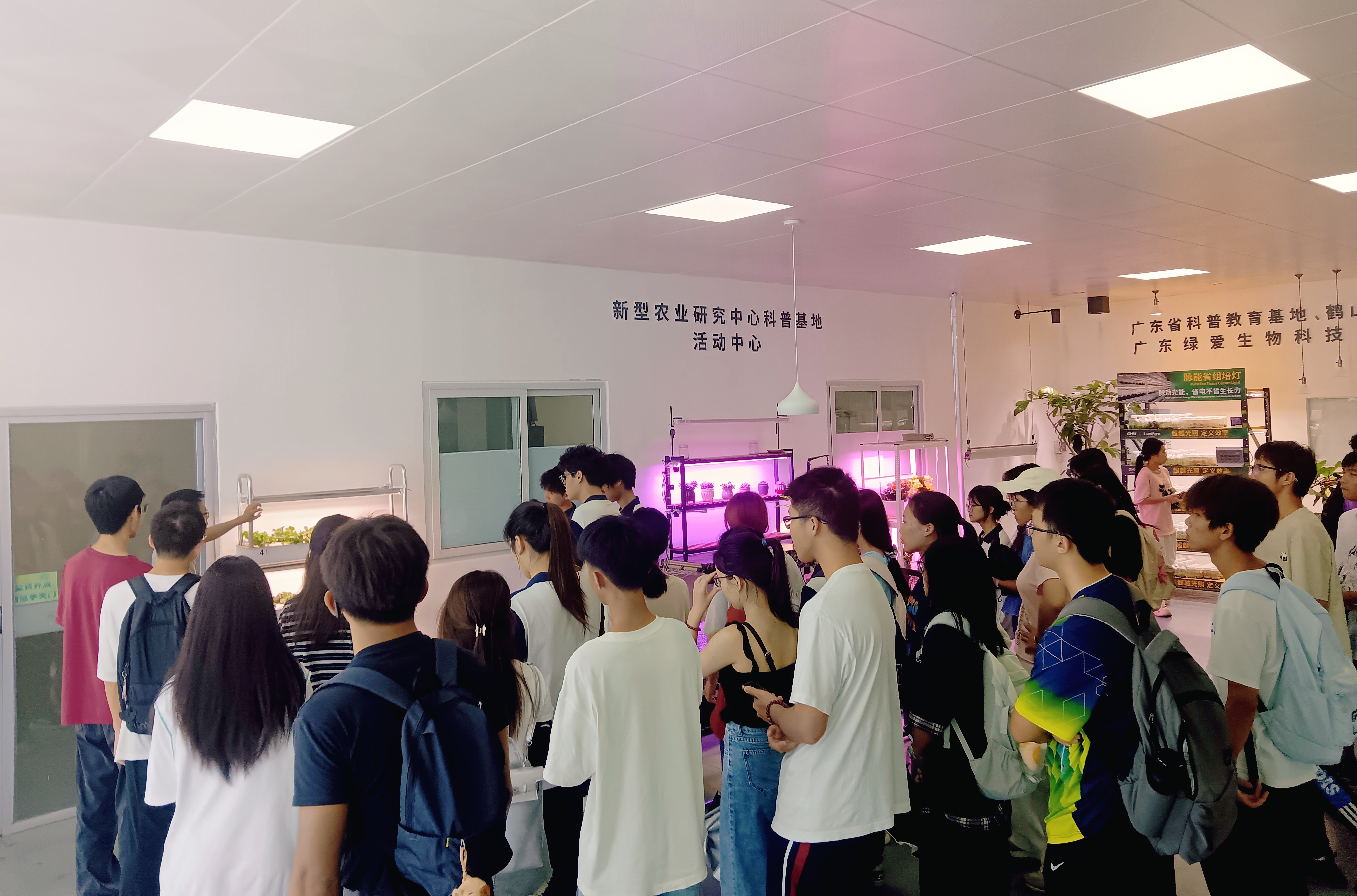 参观植物工厂 参观植物工厂