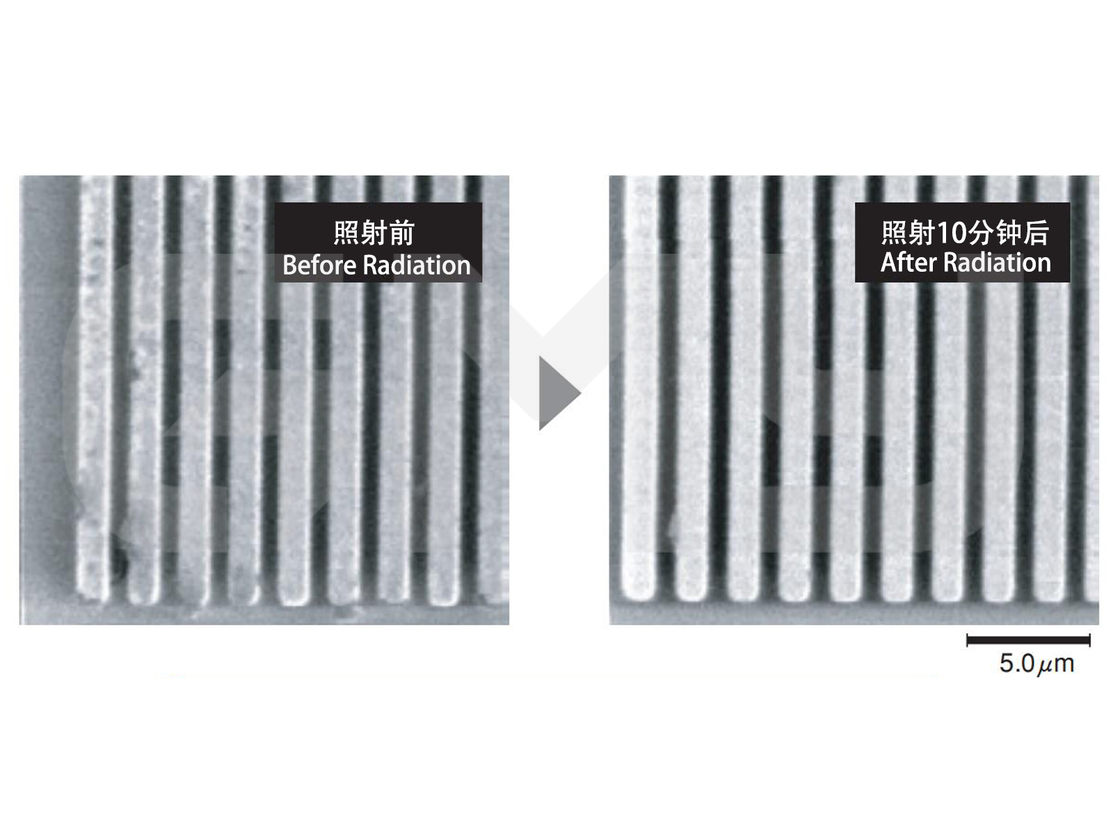 晶圆光清洗-GMY 晶圆光清洗-GMY