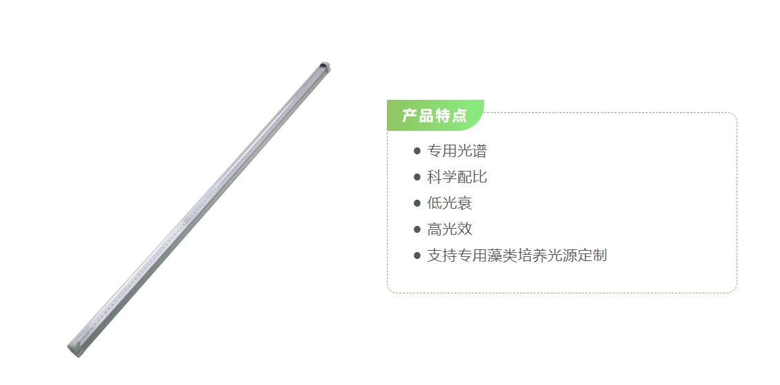 光合细菌补光灯 光合细菌补光灯