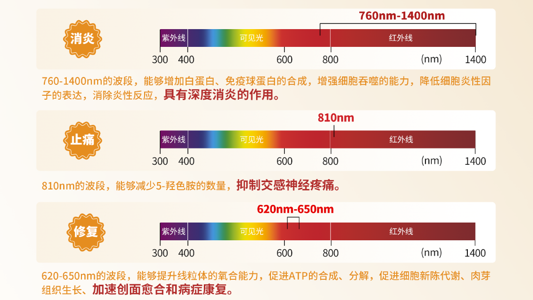 照尚红外治疗仪消炎、止痛、修复 照尚红外治疗仪消炎、止痛、修复