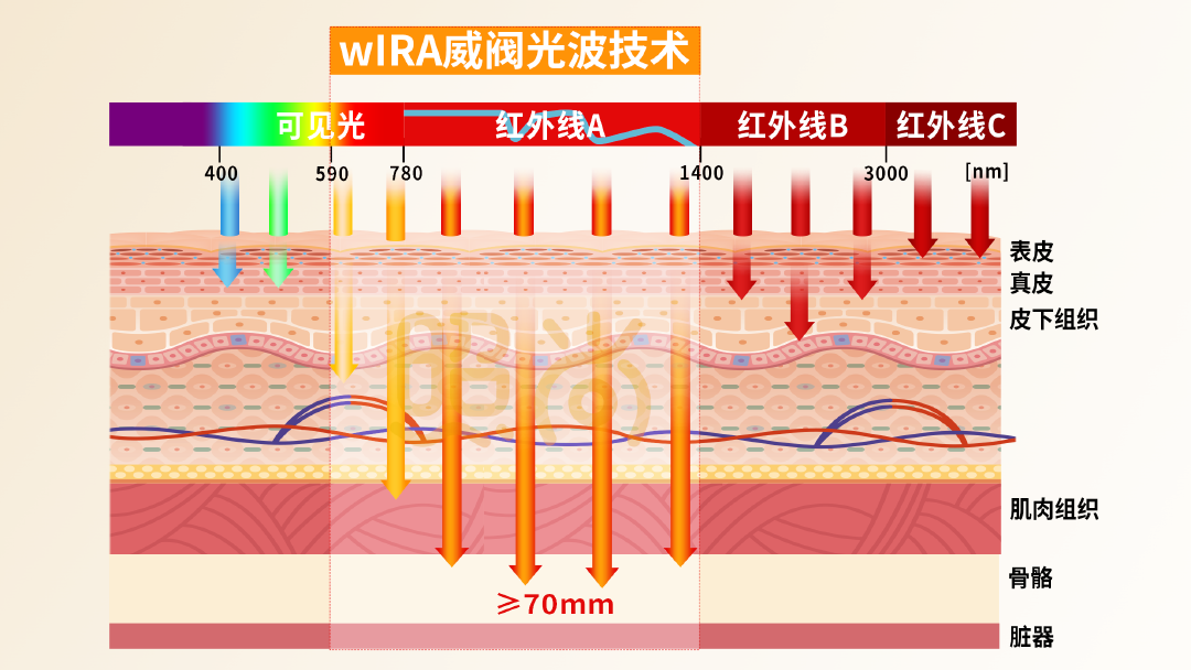 高能红外光热仪 疼痛康复光疗爆品 高能红外光热仪 疼痛康复光疗爆品