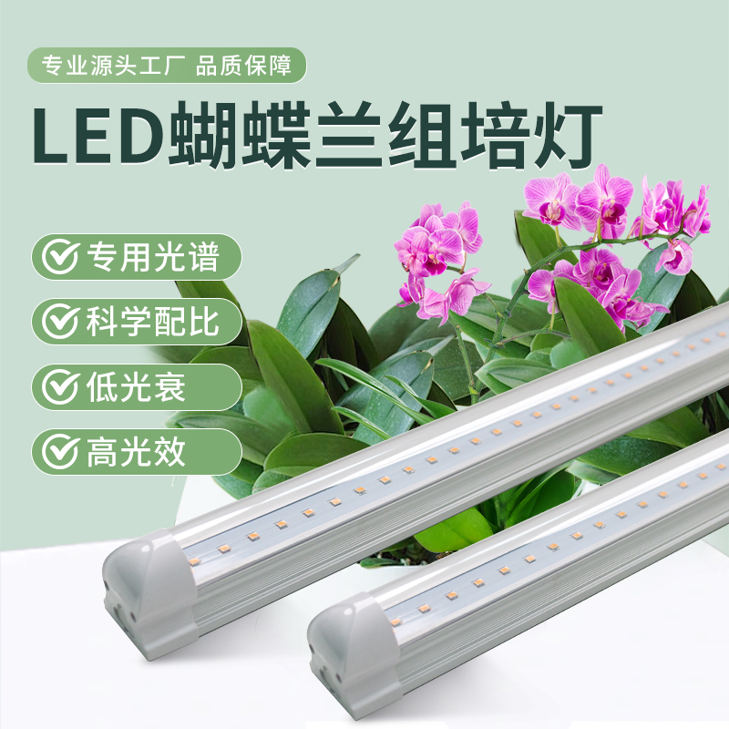 LED蝴蝶兰组培灯
