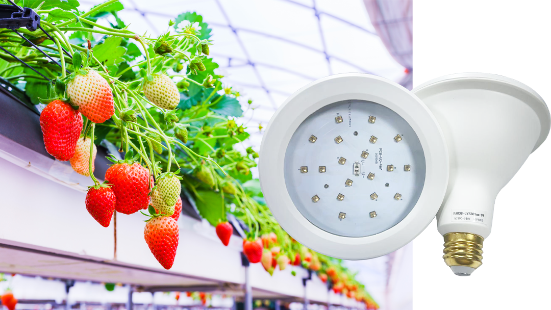 UVB气传病害防控