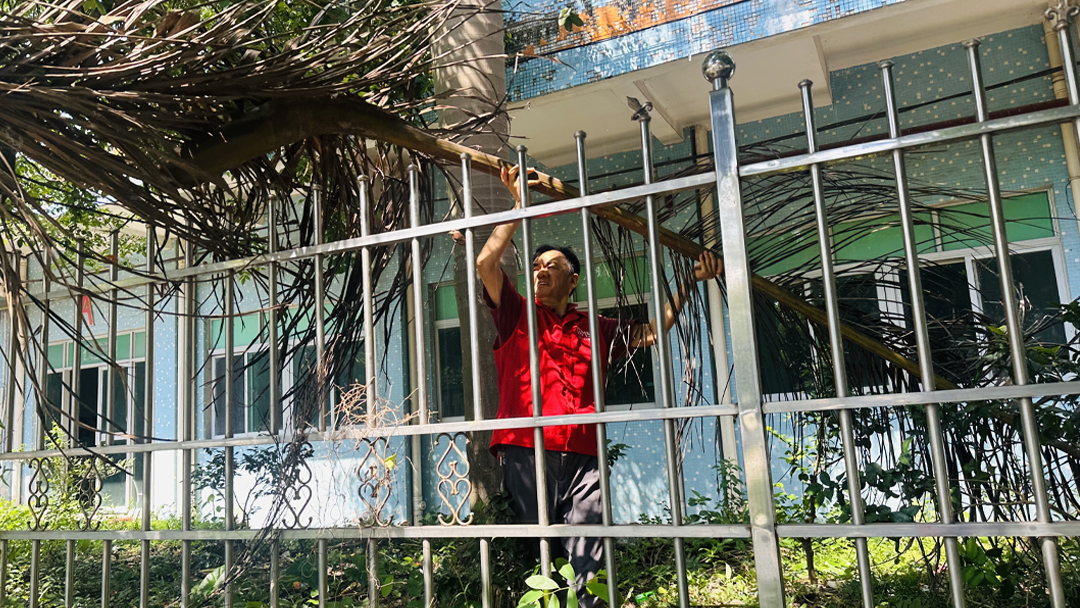 广明源灭蚊大行动