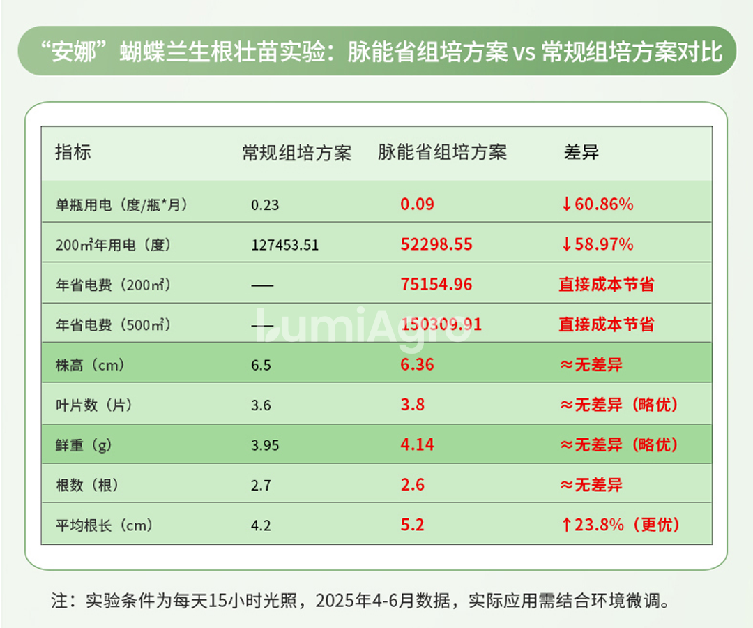脉能省蝴蝶兰组培数据
